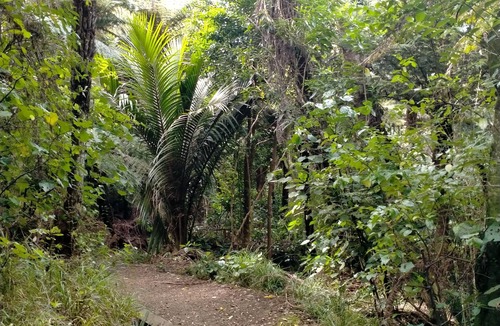Raglan Apartment | Manu Bay Homestay.With great views.Access beach on bush track from here.