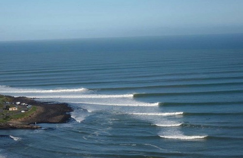 Raglan Apartment | Manu Bay Homestay.With great views.Access beach on bush track from here.