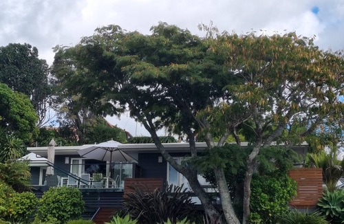 Tanners Point House | Modern 3BR Coastal Oasis - 15 Mins to Waihi Beach