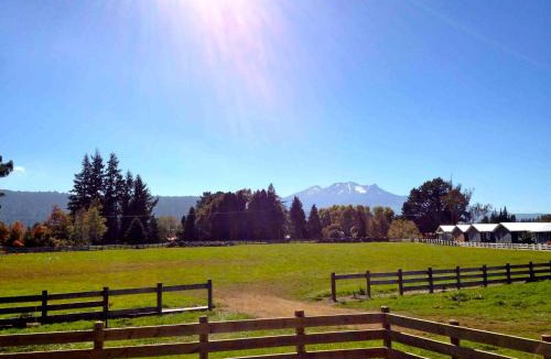 Ohakune House | Mountain View - Ohakune Holiday Home