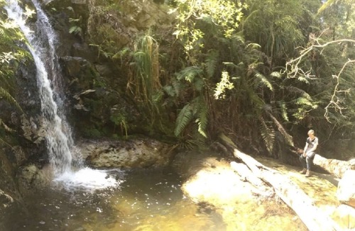 Whakatete Bay Cabin | Offgrid Cosy Cabins. Walks to Waterfalls instead of Wifi. Digital Detox option.