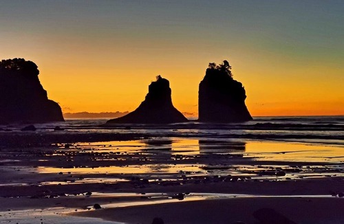 Rewa Cottage | Onaero Bay Bach11, coastal cottage and traditional kiwi Bach holiday retreat