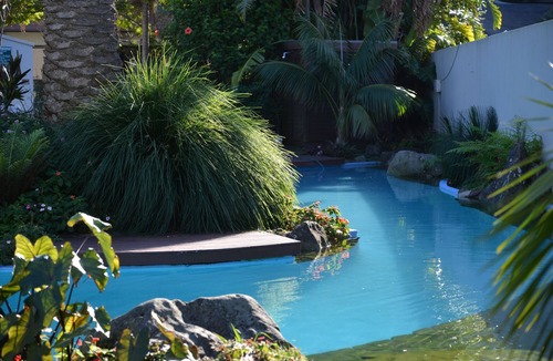 Paihia Hotel | Paihia Pacific Resort Hotel