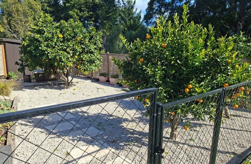 Nelson Region Cottage | Peaceful Country Cottage in Aniseed Valley, Pet friendly!
