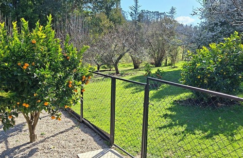 Nelson Region Cottage | Peaceful Country Cottage in Aniseed Valley, Pet friendly!