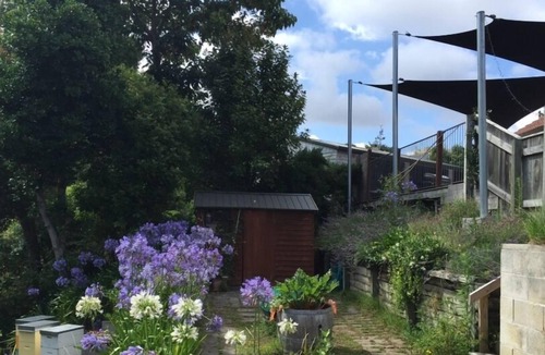 Havelock North House | Peaceful Family Home