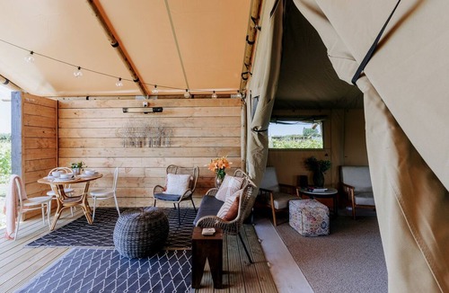 Clive RV Rental | Peaceful Safari Tent on Boutique Vineyard near Hastings, North Island