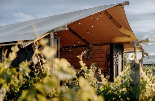 Clive RV Rental | Peaceful Safari Tent on Boutique Vineyard near Hastings, North Island