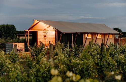 Clive RV Rental | Peaceful Safari Tent on Boutique Vineyard near Hastings, North Island