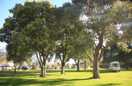 Waikawa Bay Resort | Picton TOP 10 Holiday Park