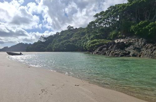 Great Barrier Island House | Ponga House - Kaitoke Waters