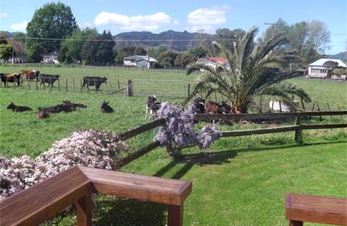 Kopu House | Private Vacation Rental for a Farm Getaway in Kopu, North Island
