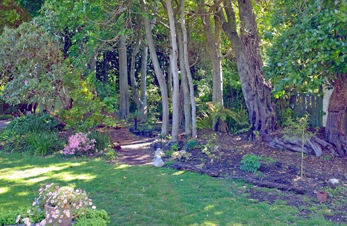 Otaki House | Relax in a quiet Garden Retreat