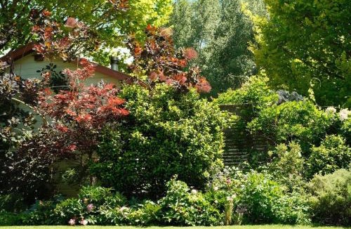 Masterton District House | Rose Cottage - Tranquil retreat