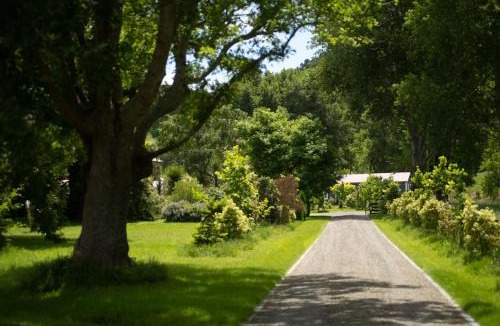 Masterton District House | Rose Cottage - Tranquil retreat