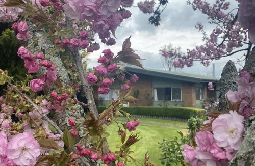 Kawaha Point House | Rose Lake Retreat - Spa Pool, Lake Views, Sleeps 8