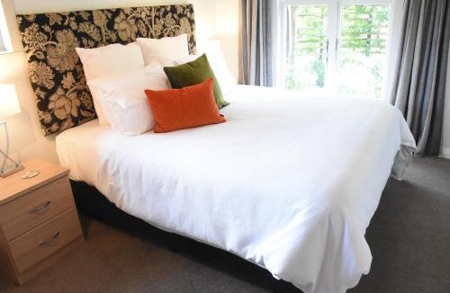 Greytown Bed & Breakfast | Shy Cottage and Studio