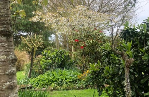 Waikana Bed & Breakfast | Southland Organic Farmstay