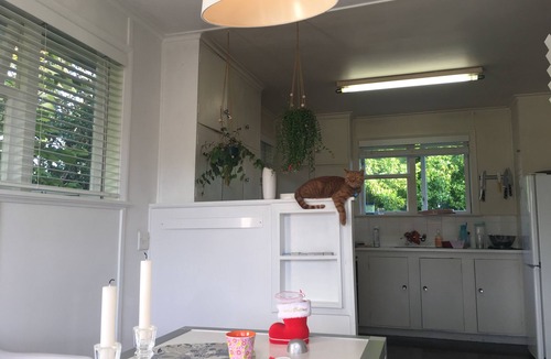 Hauraki House | Takapuna cutie