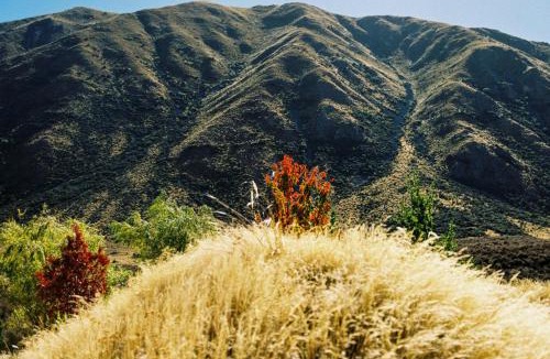 Ben Ohau Apartment | Te Manahuna Retreat - Cottage