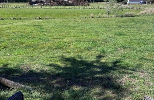 Martinborough Apartment | The Barn on Campbell