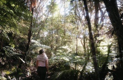 Opua House | The House at Rekindle