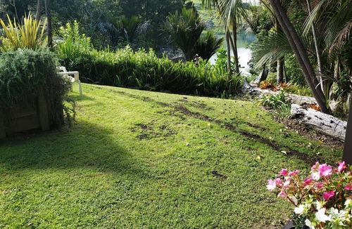 Tawharanui Ski Chalet | THE LITTLE HOUSE BY THE BEACH IN COASTAL MATAKANA, DOG FRIENDLY.