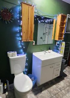 Upper Hutt Other | The Treehut at the Rabbithole, Upper Hutt