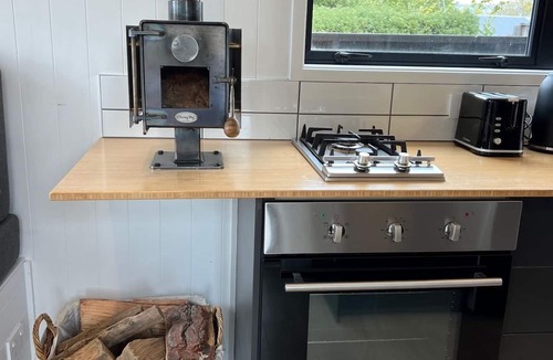 Wanaka Cabin | Tiny house - big fun! Mountain views, private garden, indoor & outdoor fires.