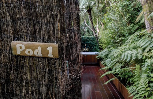 Khandallah Apartment | Tui Pod - A sanctuary pod tucked away in a native bush in Wellington