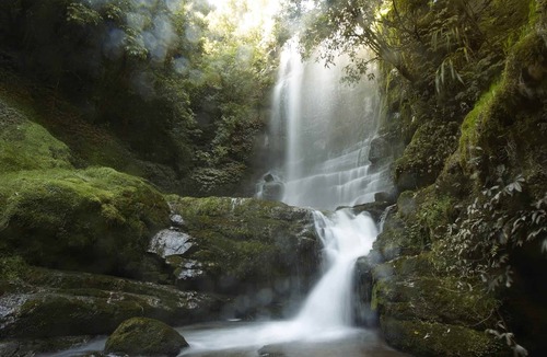 Waitomo District Cabin | Two Private Riverside Cabins Groups up to 10