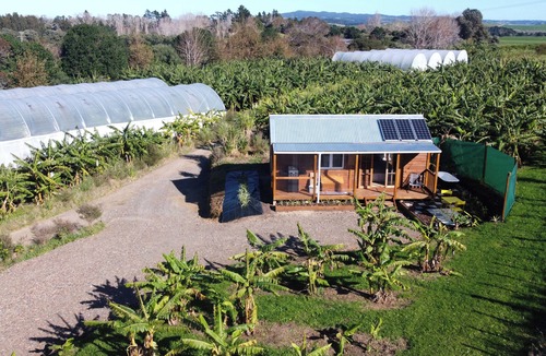 Waipu Cabin | Uretiti Paradise - cozy off-grid cabin in tropical fruit farm by the beach