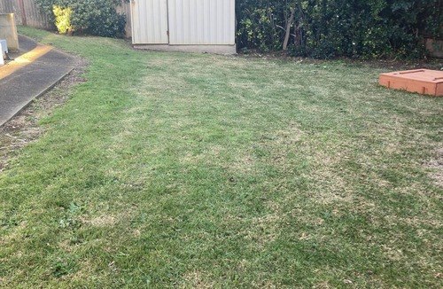 Waitarere Beach House | Waitarere Beach Bach. Pet friendly.