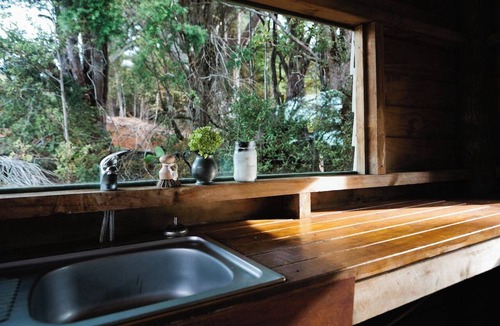 Kaihu House | Wild Forest Estate Tin Box