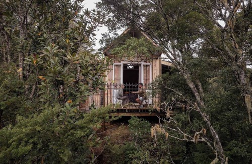 Kaihu House | Wild Forest Estate Tree House