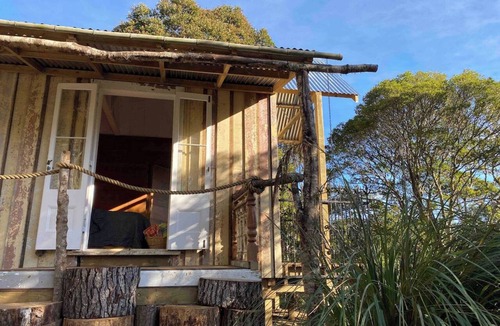 Kaihu House | Wild Forest Estate Tree House