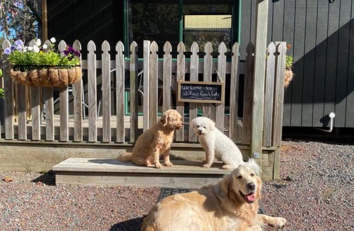 Kumeu Cabin | Willows Reach Lodge