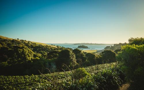 Oneroa Apartment | Winemakers Loft