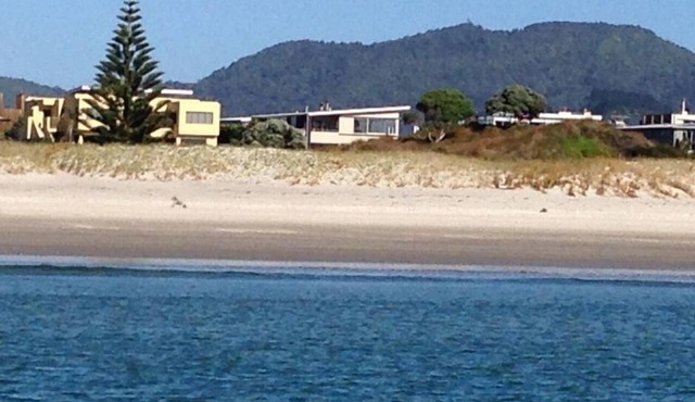 Absolute beachfront family holiday home for a wonderful stay at Omaha Beach. in Omaha
