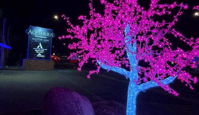 Aquarius Motor Inn in Hamilton