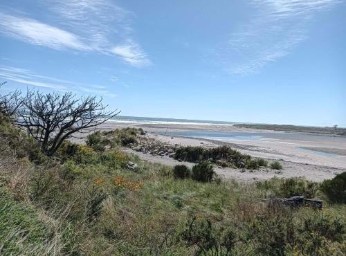 Beach House - Waimangaroa West Coast in Westport