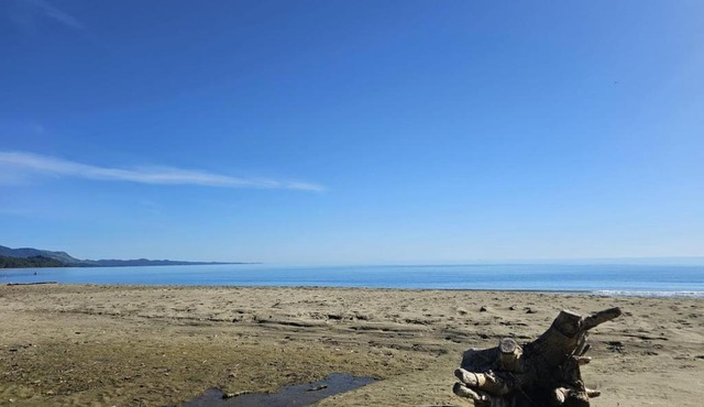 Beachfront Beauty in Parapara