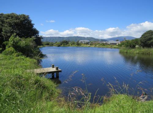 Beside the lagoon - Waikanae Beach