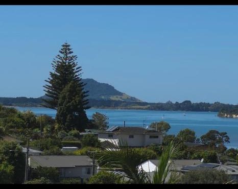 Bulavista in Tauranga