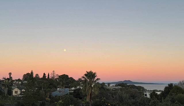 Cosy beach retreat on Torbay. Enjoy a spacious room with entire house and garden in Torbay
