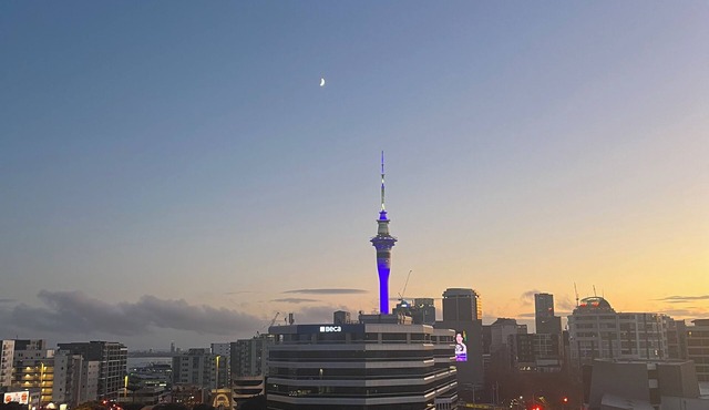 Cozy 2 bedroom central Auckland city apartment with free car park!
