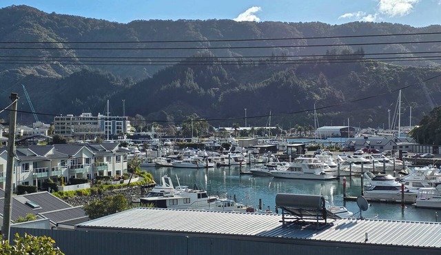 Cozy Apartment with Marina Views in Picton