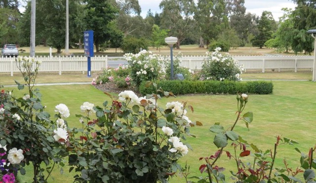 Culverden Court Motel in Culverden
