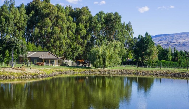 Dunstan Road B&B in Alexandra