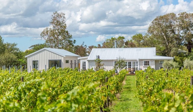 Émigré Martinborough: The Wineshed and the Lodge